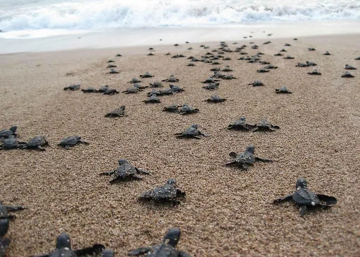 I 100 Metri Dal Mare